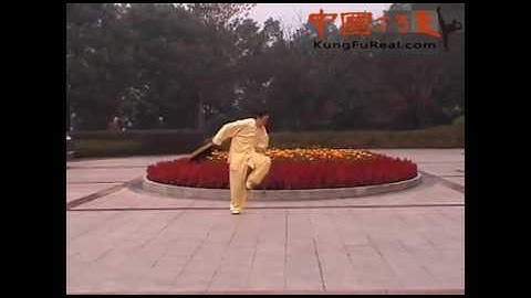 baguazhang youtube--martial arts likes