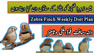 Zebra Finch Complete Weekly Diet Plan | Earn Money From Birds Business or Farming | Mini Zoo screenshot 5