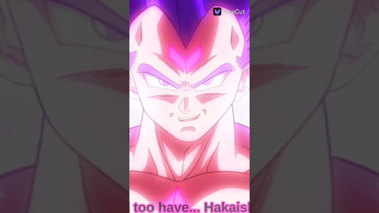 Goku vs vegeata