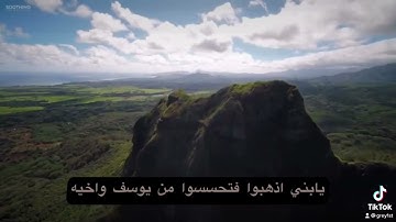 مشاري فالح - سورة يوسف