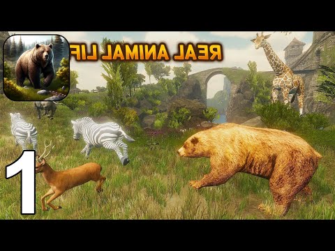 The Bear - Animal Simulator Android Gameplay Part 1 - Animal Games Videos