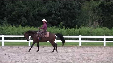 Nancy O'Neill riding Blast Of Spice W/T/L Ranch Ri...