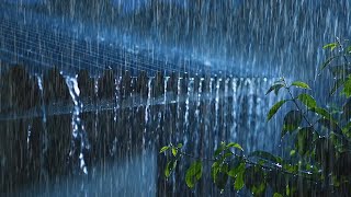 Gentle Night RAIN - Rain Sounds For Sleeping - Thunderstorm Sounds, Relaxation, White Noise, ASMR