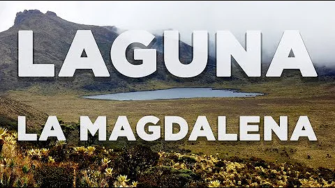 A pie hasta la Laguna de Magdalena -  Mundos del Magdalena. Ep. 01
