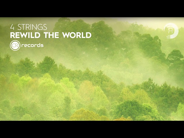4 Strings - Rewild The World