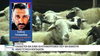 Δύο χρόνια από την πρώτη θανάτωση κοπαδιού λόγω ευλογιάς στον Έβρο