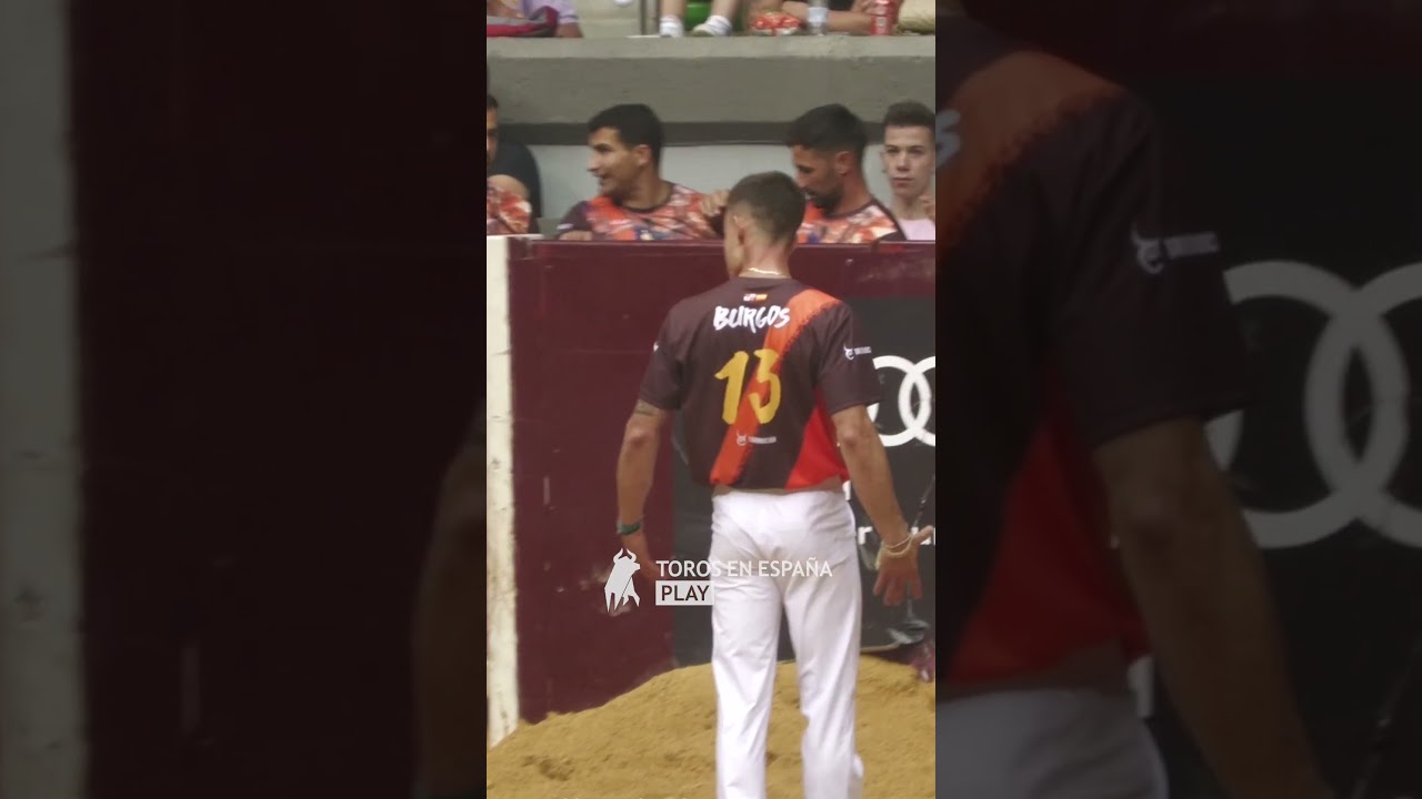 Quiebro de RODILLAS a un Galache 😍