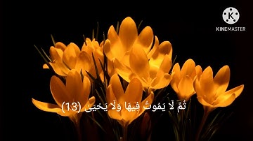 سورة الأعلى للقارئ الشيخ حسن علي | Surat Al-A'la Hassan Ali