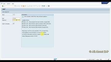 How to set different Colors Client Wise and Change Theme in SAP GUI | All About SAP