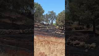 Crews Stop Forward Progress of Wildfire in El Dorado Hills