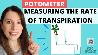 Potometer Experiment : Measuring the rate of transpiration.  A-level Biology Experiment