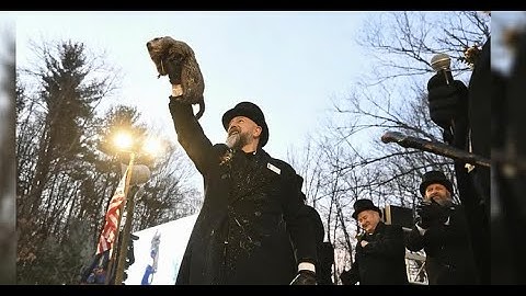 Groundhog Day 2025: What did Punxsutawney Phil predicted for this year?
