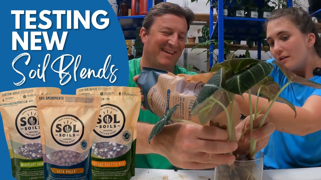Potting Soil Review Trying New Soil Blends from SOL Soils YouTube