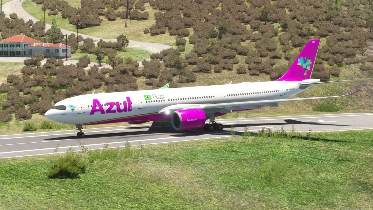 EXTREME LANDINGS: Birdstrikes, Go-Arounds & Crosswind Struggles | Plane Spotting Compilation