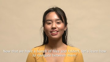 Introduction to CS50 IDE