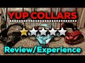 Yup Collars Review