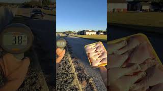 Throwing Raw Chicken At Speeding Cars In School Zones