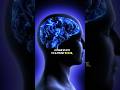 Rewire Your Brain in 5 Minutes 🧠✨