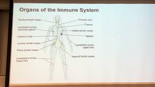 11/19/24 lecture Biol 440
