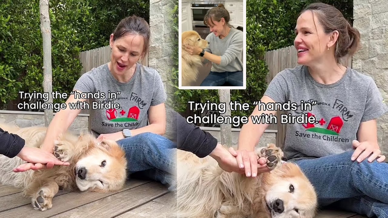 Jennifer Garner's golden retriever Birdie deserves a round of apaws