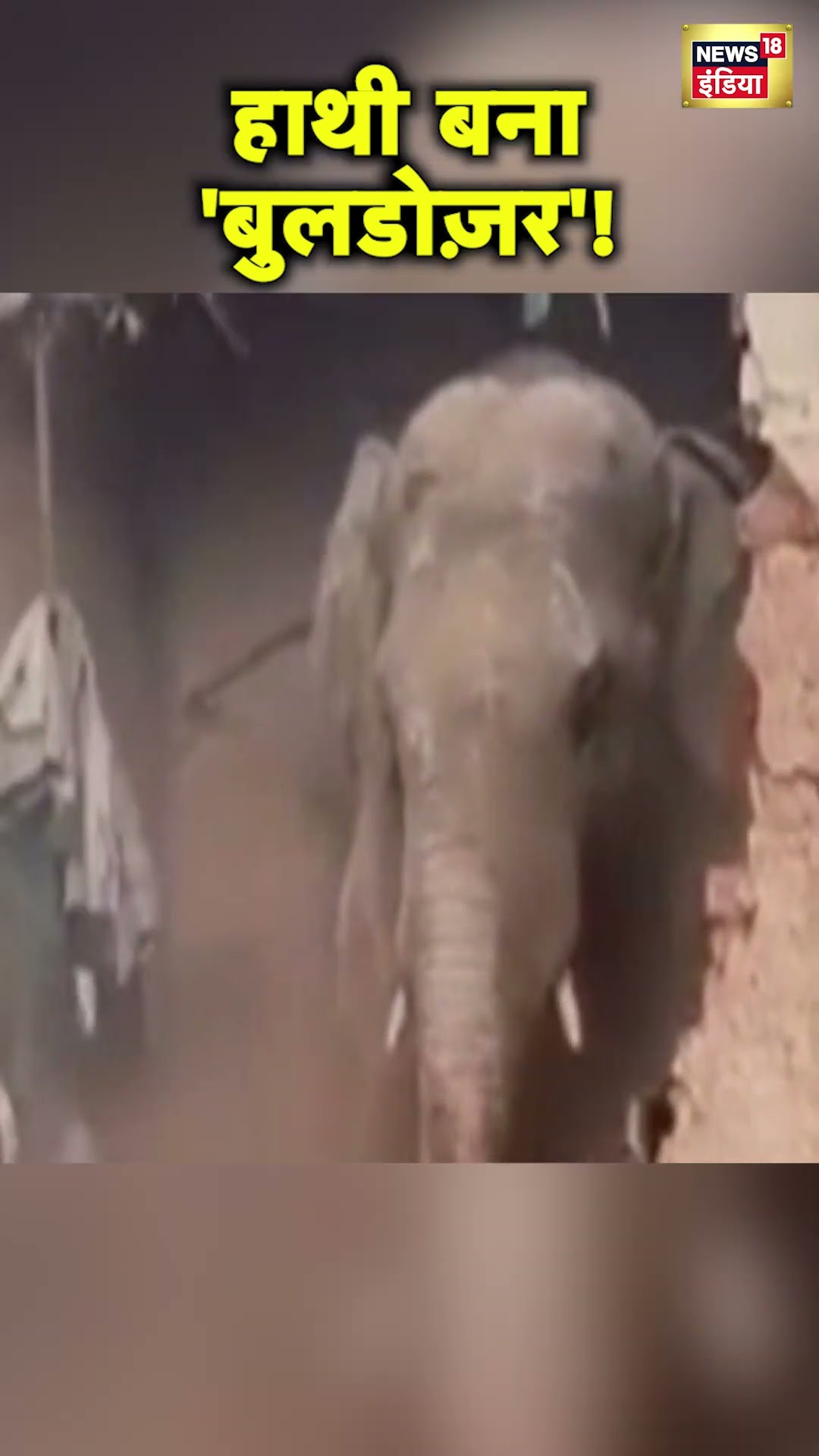 Chhattisgarh के Balrampur में एक हाथी ने किसान का घर तोड़ डाला | Hindi News | Elephant Attack | N18S