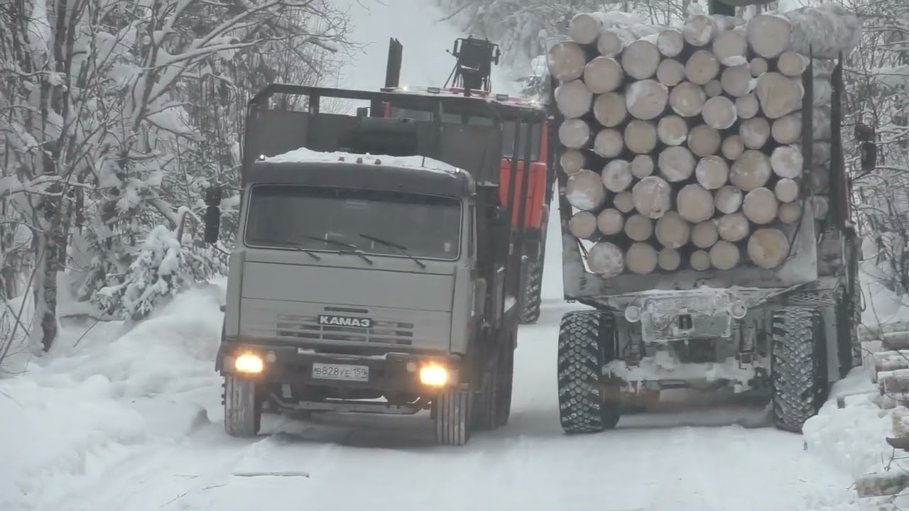 Нашёл в лесу Урал. Дорога на Вижай.