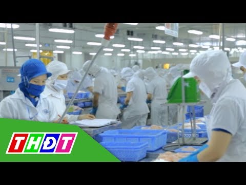 Video Tập đoàn Vĩnh Hoàn chăm lo tốt đời sống công nhân lao... - YouTube