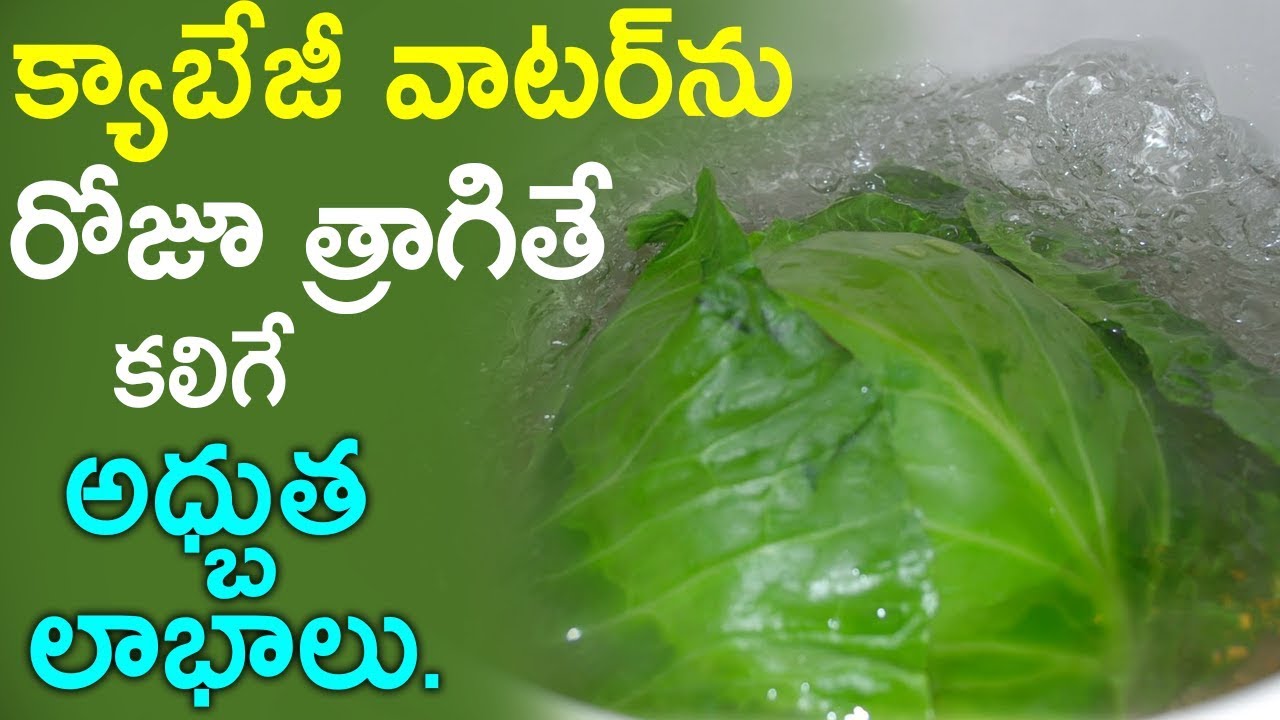 Top 10 Health Benefits of Drinking Cabbage Water Daily Remix King