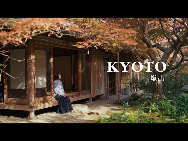 Travel vlog - KYOTO in Autumn 🍁 quiet corners in busy Arashiyama | Japan Travel Vlog