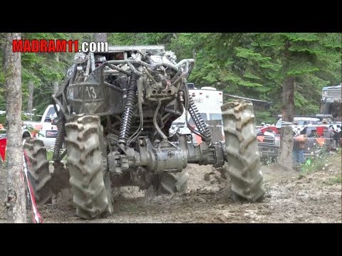 FOSS HOGG IS AN ABSOLUTE BEAST