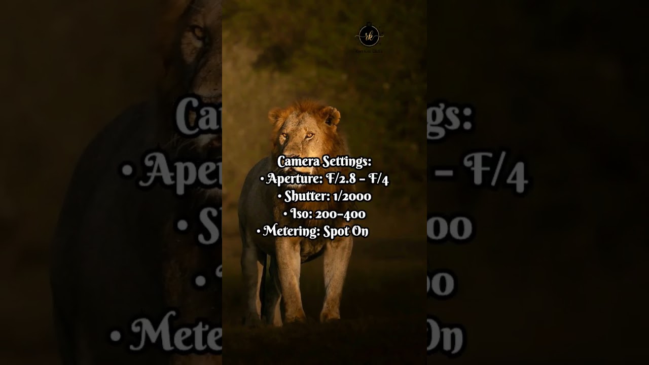 “When the World Sleeps, Wildlife Wakes 🌙🦉 | Night Photography Magic”