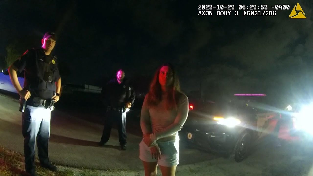 Woman Allegedly Left Daughter in Unlocked Car to Go Drinking