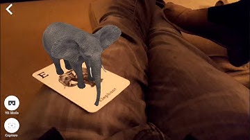 Animal 4D+ augmented reality screen capture