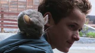 Découvrez Linsut De Genech