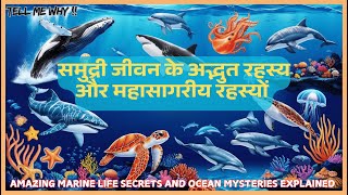 समुद्री जीवन के अद्भुत रहस्य और महासागरीय रहस्य Amazing Marine Life Secrets and Ocean Mysteries