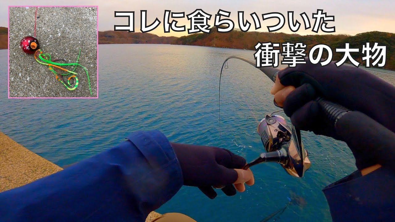 入江の奥地の小さな堤防で衝撃の大物を釣り上げてしまった。