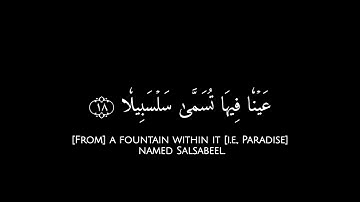 ويسقون فيها كأسا كان مزاجها زنجبيلا🌱 كروما قرآن سورة الانسان Al-Insān القارئ ياسر الدوسري🌱  2k