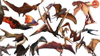 Dinosaurs for kids | Learn 40 Flying Dinosaurs Names in English #kidslearning #dinosaurs  #dinosaur