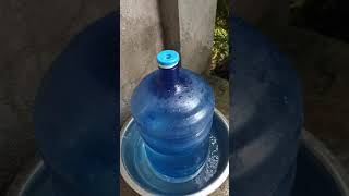DIY practical dog water dispenser