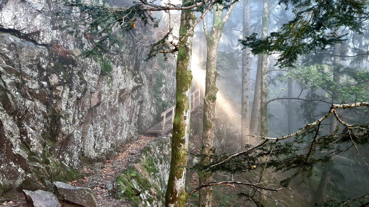 Unterwegs auf dem Felsenweg bei Oberried