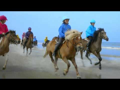 FFE - Fédération Française d'Equitation - 2014