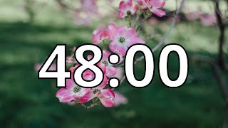 48 Minutes Timer with Music | Spring Timer
