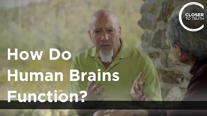 Stuart Hameroff - How Do Human Brains Function?