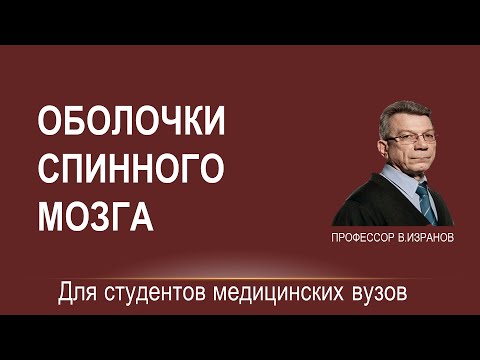 Оболочки и межоболочечные пространства спинного мозга