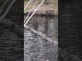 Laån 251116 strömstare