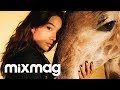 Peggy gou dj set  mixmag 2018