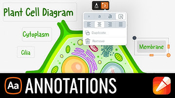 Linea Sketch - Annotations