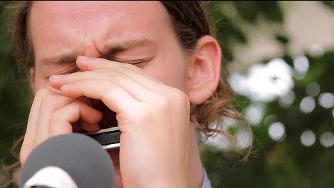 Half Moon Run - Unofferable | The Wild Honey Pie Buzzsession