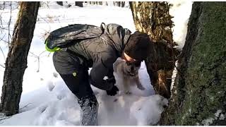 ВЫЖИВАНИЕ В ЛЕСУ|ПОСТРОИЛИ ДОМ|ЛАЙКА