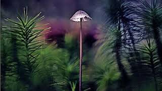 Emil Brandqvist Trio - Unbreakable